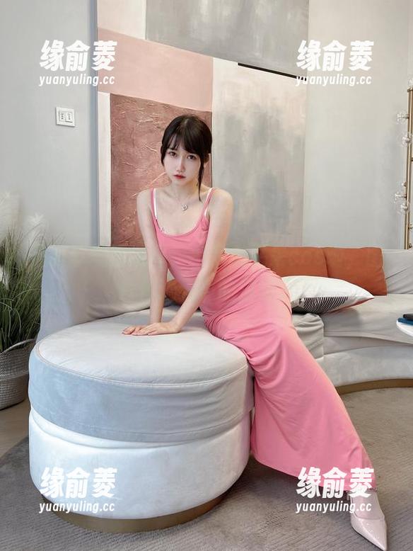 圣诞节气氛浓厚，不呆猫又来cos啦，图片传达无声的温暖。