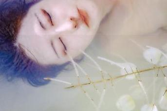来一场樱晚gigi的清衣.池之旅，每次更新都像在过节，开心得停不下来！